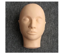 Half-head model