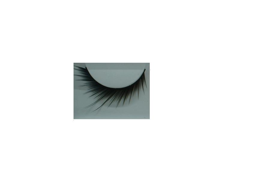pair of eyelash