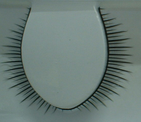 pair of eyelash