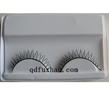 pair of eyelash